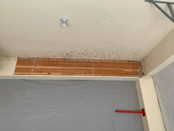 Best Residential Mold Inspection & Testing  in Lisbon, ME